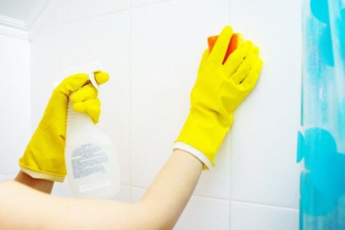 Cleaning pet stains and odours from upholstery in Biggin Hill home